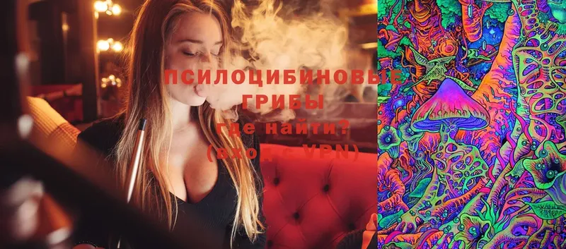 Галлюциногенные грибы Magic Shrooms  хочу наркоту  Инсар 